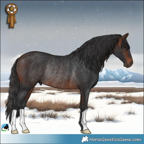 Horse Color:Brown Rabicano 