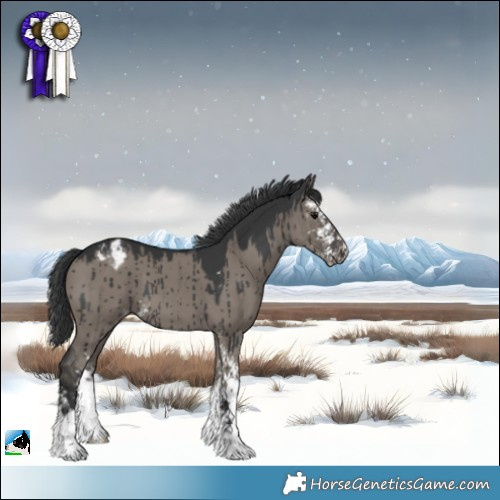 Horse Color:Grullo Sabino Appaloosa Brindle 