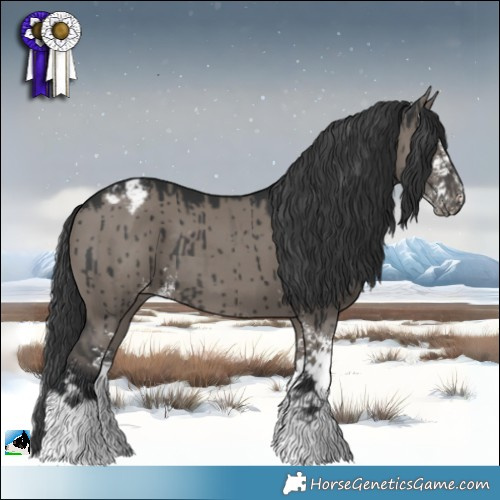 Horse Color:Grullo Sabino Appaloosa Brindle 