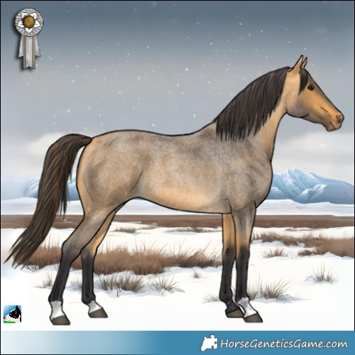 Horse Color:Buckskin Roan 