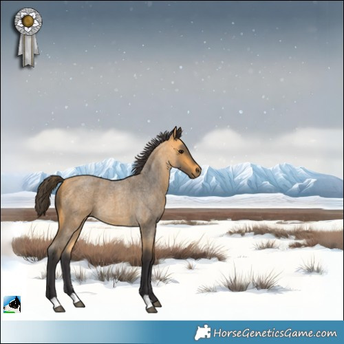 Horse Color:Buckskin Roan 