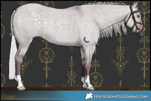Horse Color:Chocolate Silver Grullo Chinchilla Roan