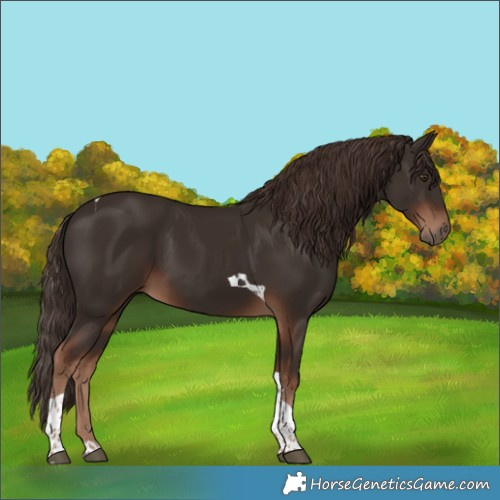 Horse Color:Liver Chestnut Tobiano 