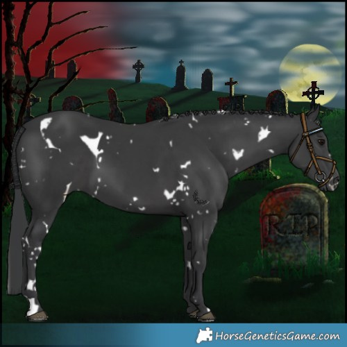 Horse Color:White Spotted Black 