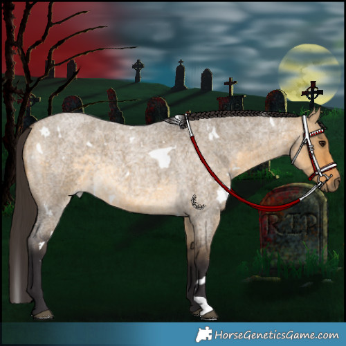 Horse Color:White Spotted Buckskin Roan Dun 