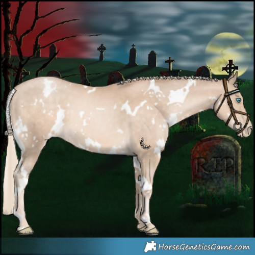 Horse Color:White Spotted Chocolate Palomino Pearl 
