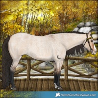 Horse Color:Bay Roan Dun Splash