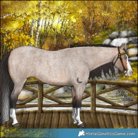 Horse Color:Bay Roan Dun Splash
