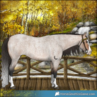 Horse Color:Bay Roan Dun Splash