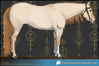 Horse Color:Red Dun Roan Tobiano