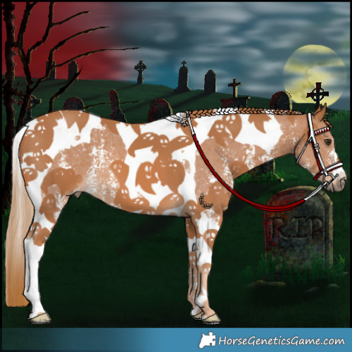 Horse Color:Chestnut Sabino Tobiano 