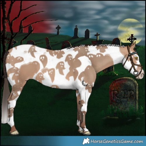 Horse Color:Amber Champagne Splash Tobiano 