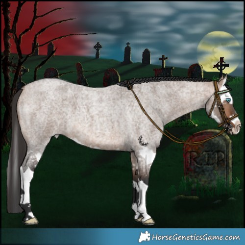 Horse Color:Bay Roan Dun Splash