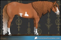 Horse Color:Chestnut Splash Frame