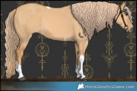 Horse Color:Red Dun Tobiano 