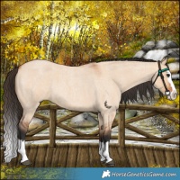 Horse Color:Bay Roan Dun Splash 