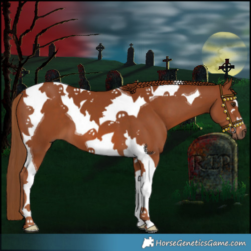 Horse Color:Chestnut Tobiano 