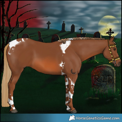 Horse Color:Chestnut Tobiano 