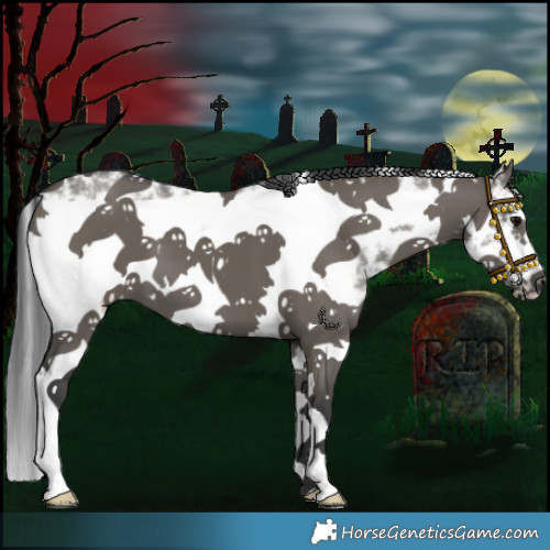 Horse Color:Grullo Sabino Frame 