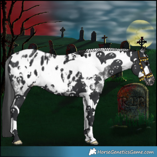 Horse Color:Black Sabino Frame Appaloosa 