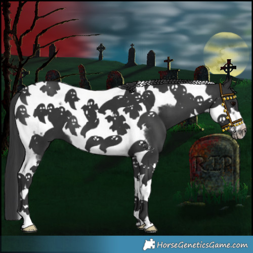 Horse Color:Black Tobiano Frame 