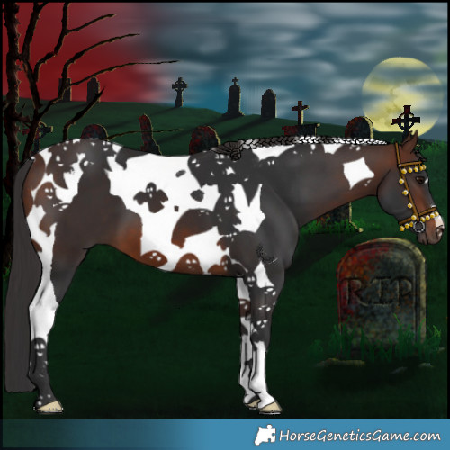 Horse Color:Brown Tobiano 