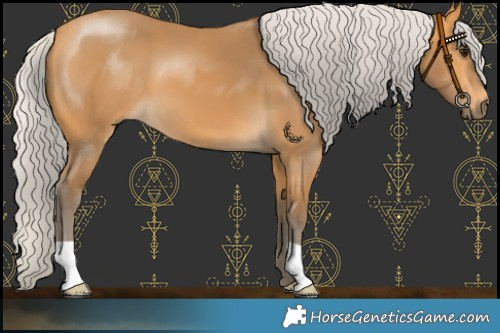 Horse Color:Silver Buckskin 