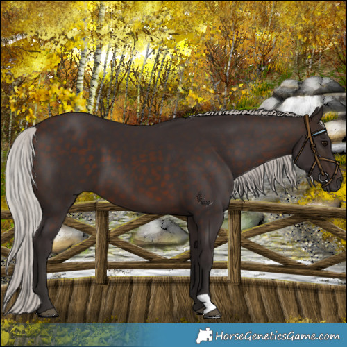 Horse Color:Silver Brown 