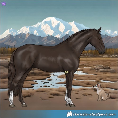 Horse Color:Liver Chestnut Tobiano 