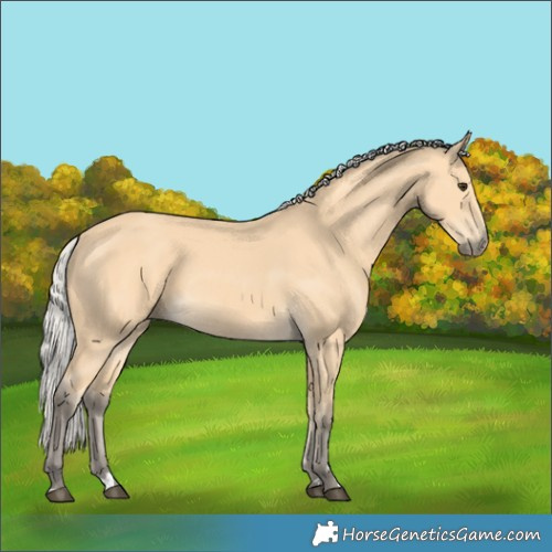 Horse Color:Silver Buckskin 