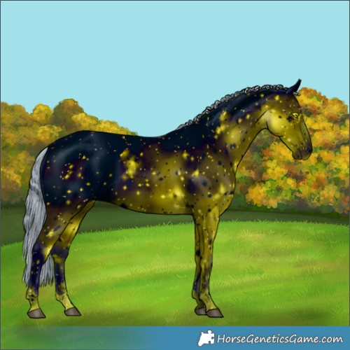 Horse Color:ERROR: UNKNOWN ANOMALY
