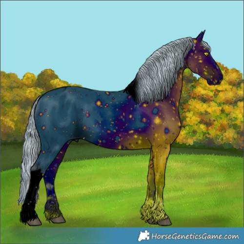 Horse Color:ERROR: UNKNOWN ANOMALY