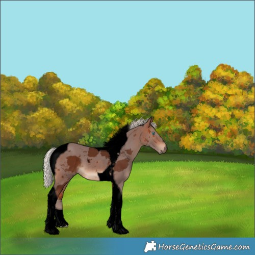 Horse Color:Void Silver Bay Merle Tobiano 