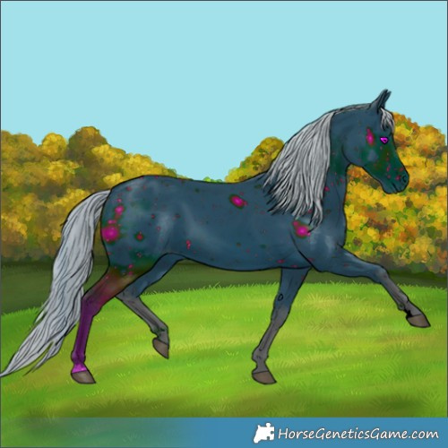 Horse Color:ERROR: UNKNOWN ANOMALY