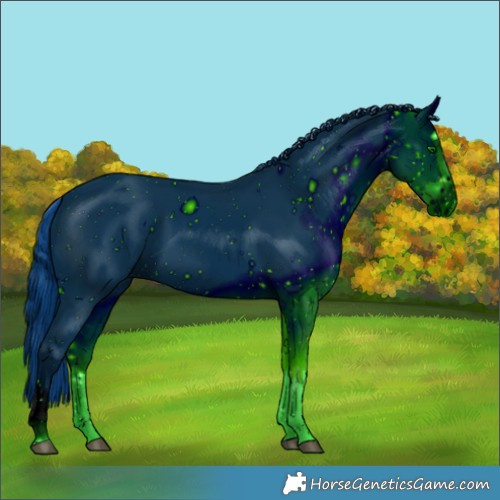 Horse Color:ERROR: UNKNOWN ANOMALY