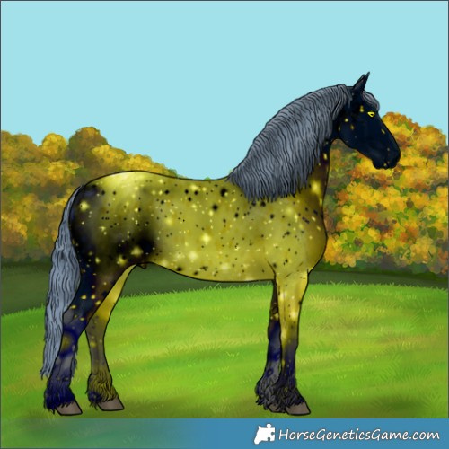 Horse Color:ERROR: UNKNOWN ANOMALY