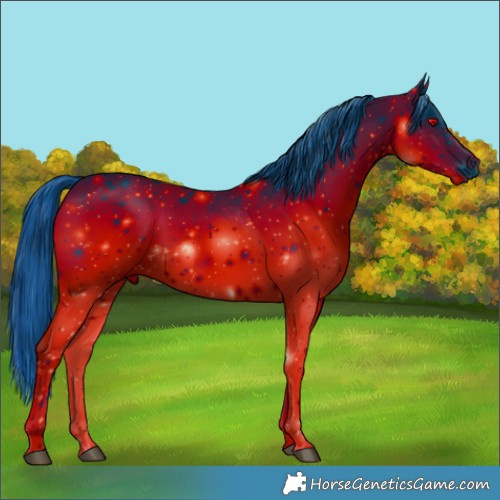 Horse Color:ERROR: UNKNOWN ANOMALY