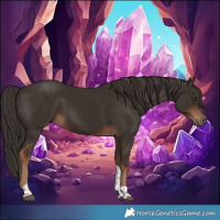 Horse Color:Liver Chestnut Tobiano 