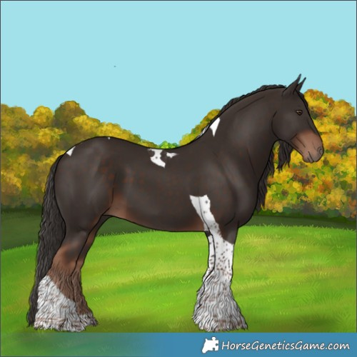 Horse Color:Liver Chestnut Tobiano 