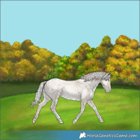 Horse Color:Silver Amber Champagne Snowdrop Pearl Dun Tobiano 