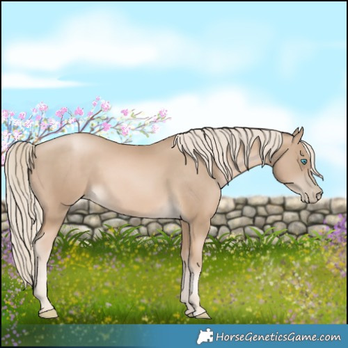 Horse Color:Chocolate Palomino Pearl 