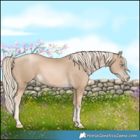 Horse Color:Chocolate Palomino Pearl 