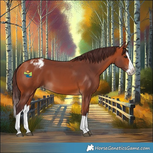 Horse Color:Chocolate Bay Splash Appaloosa 