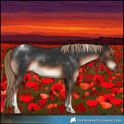 Horse Color:Liver Chestnut Tobiano 