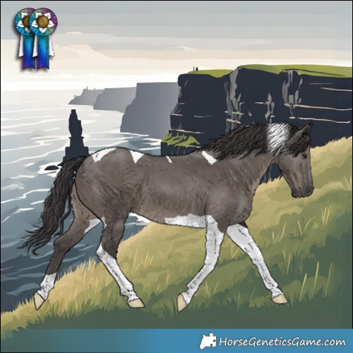 Horse Color:Smoky Grullo Tobiano 