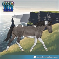 Horse Color:Smoky Grullo Tobiano