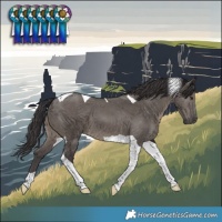 Horse Color:Smoky Grullo Tobiano 