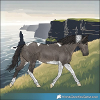 Horse Color:Smoky Grullo Tobiano