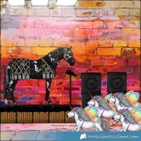 Horse Color:White Spotted Midnight Black 