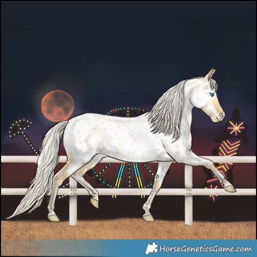 Horse Color:Silver Sable Cream Champagne Dun Near Leopard Rabicano 